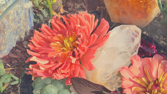 Flowers help you find the love within