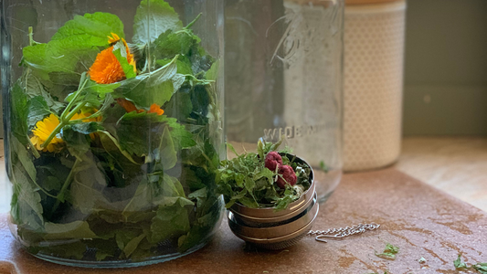mason jars filled with fresh herbs to make herbal sun tea infusion