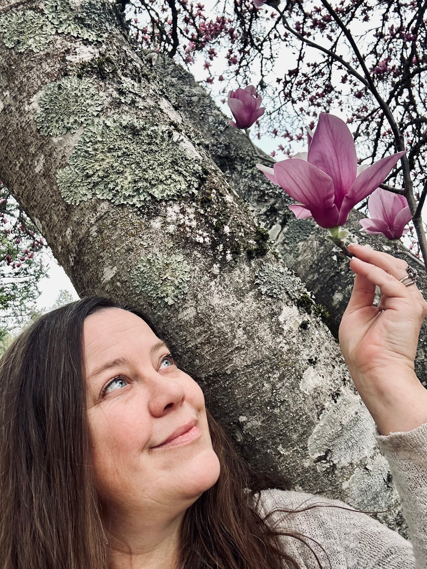Open Heart: Magnolia Flower Essence