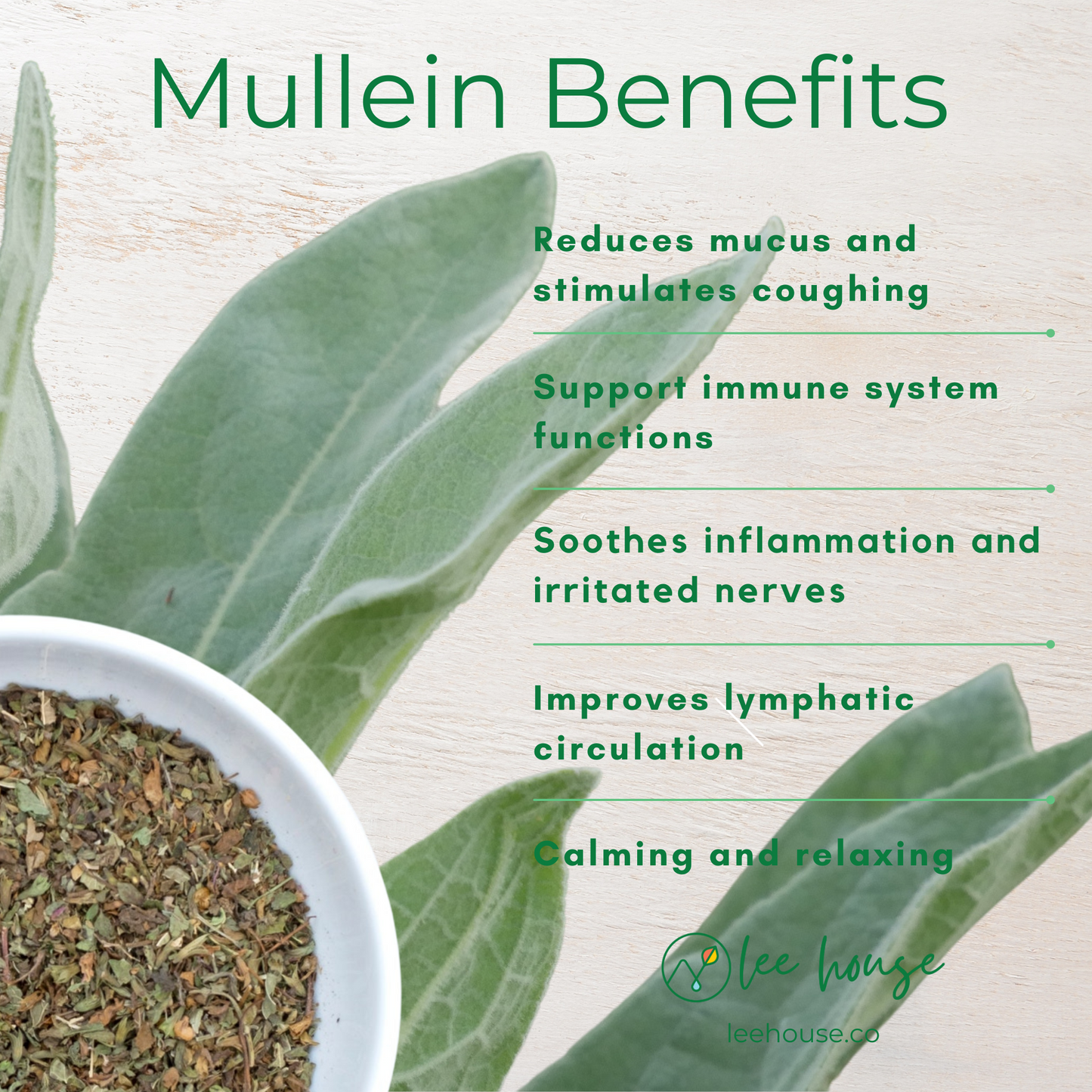 Mullein Leaf Tincture