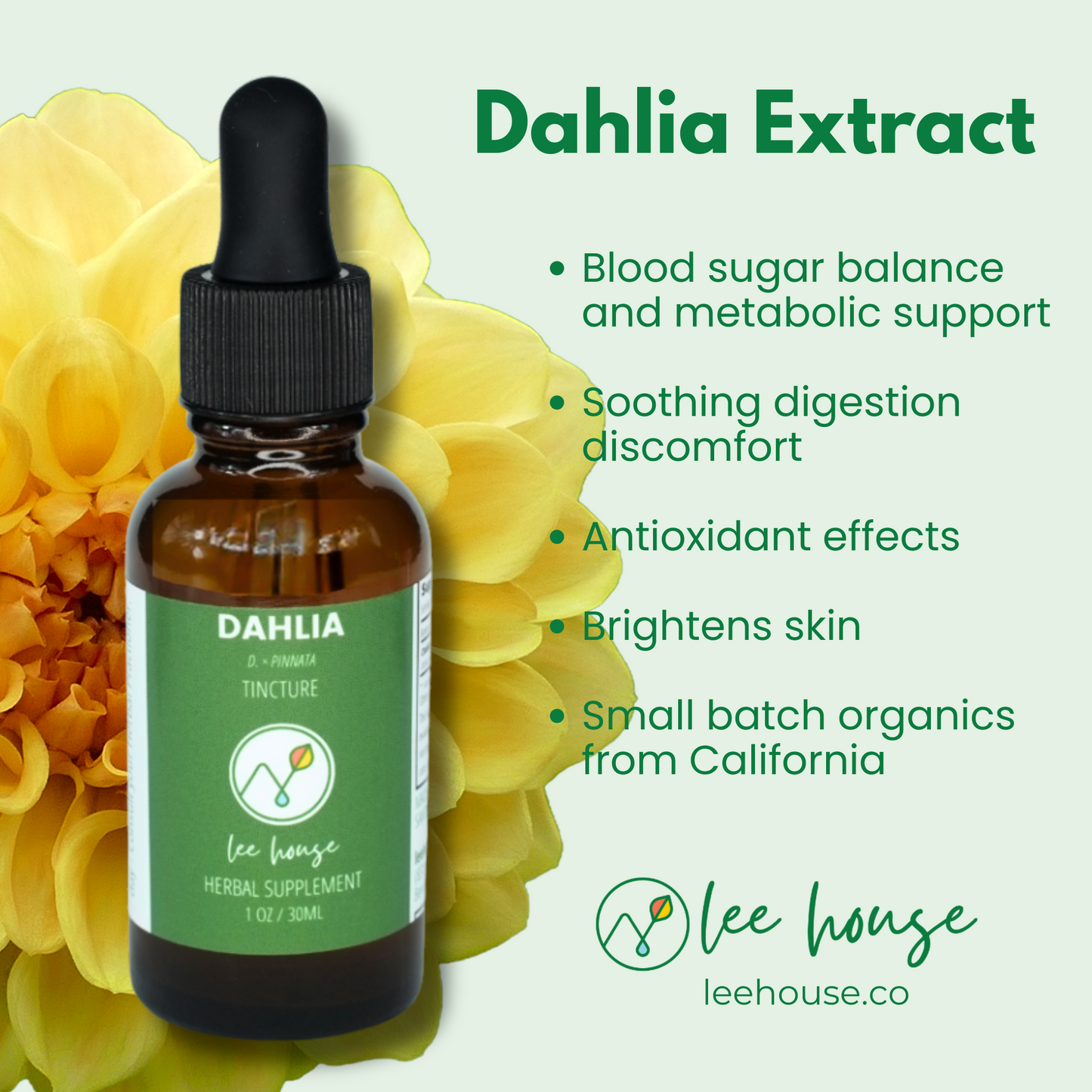 Dahlia Flower Extract