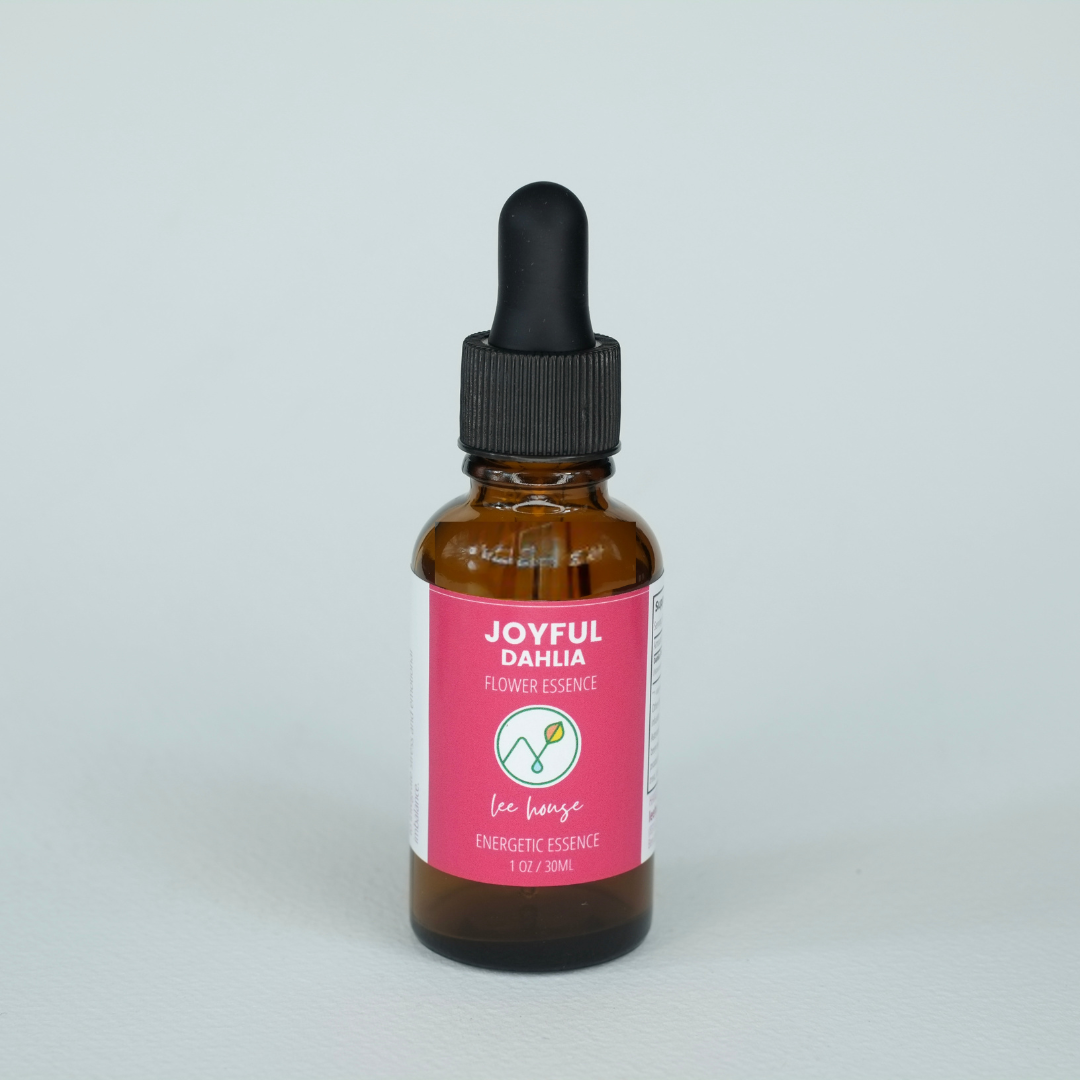 Joyful: Dahlia Flower Essence