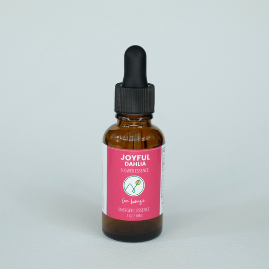 Joyful: Dahlia Flower Essence