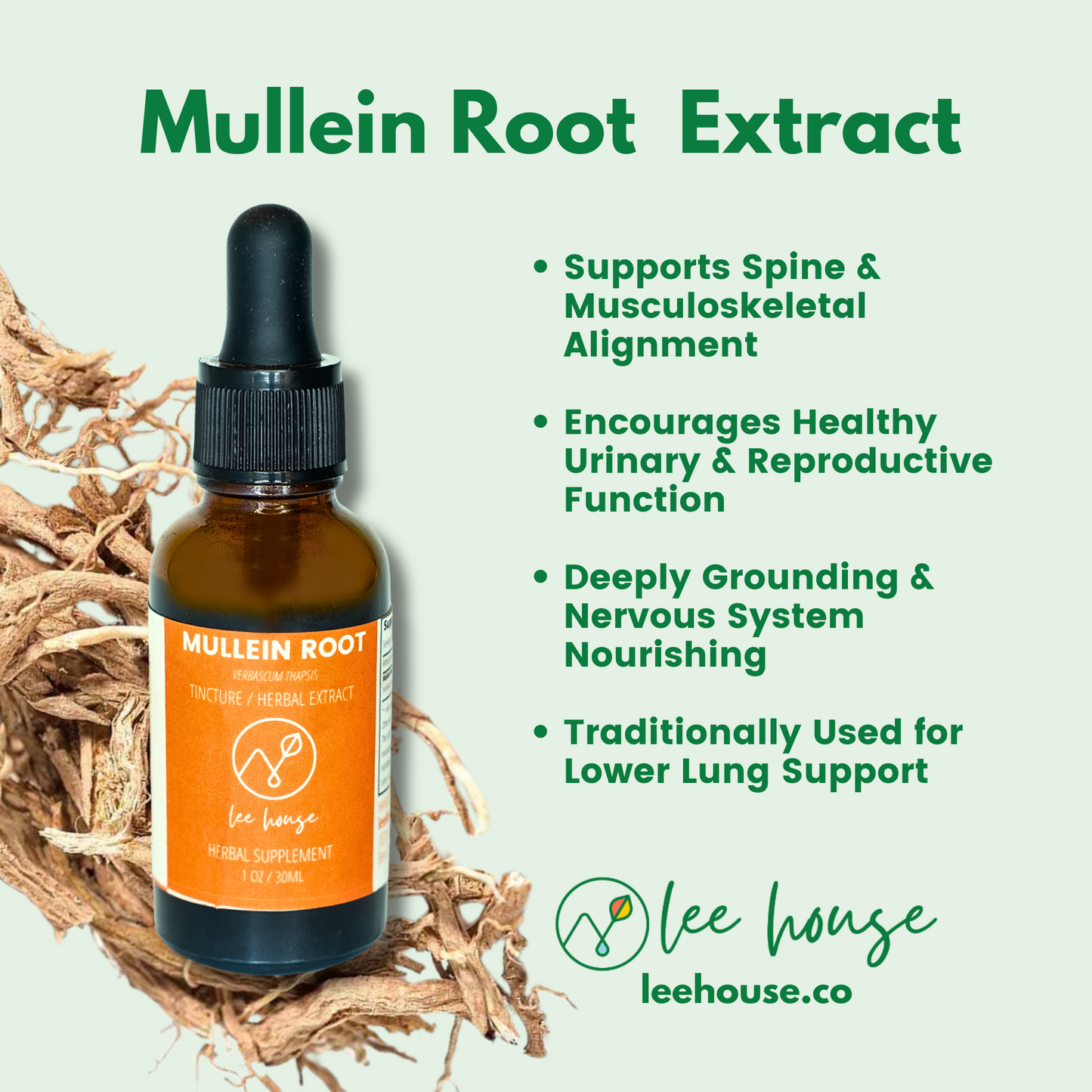 Mullein Root benefits listed, such as spinal support, urinary health, and anti-inflammatory properties. Shows Mullein Root tincture bottle with dried mullein root background.
