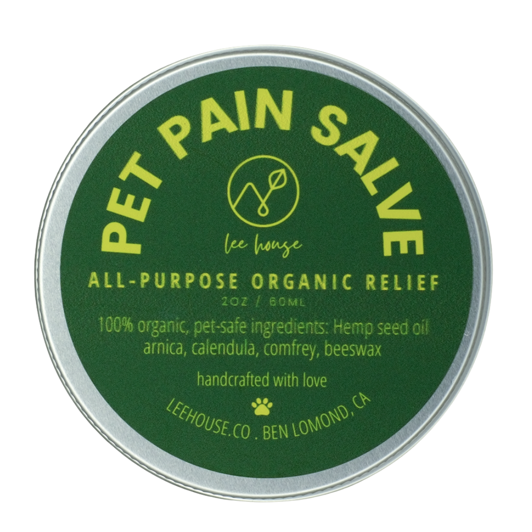Pet Pain Salve container with green label and silver lid on a white background