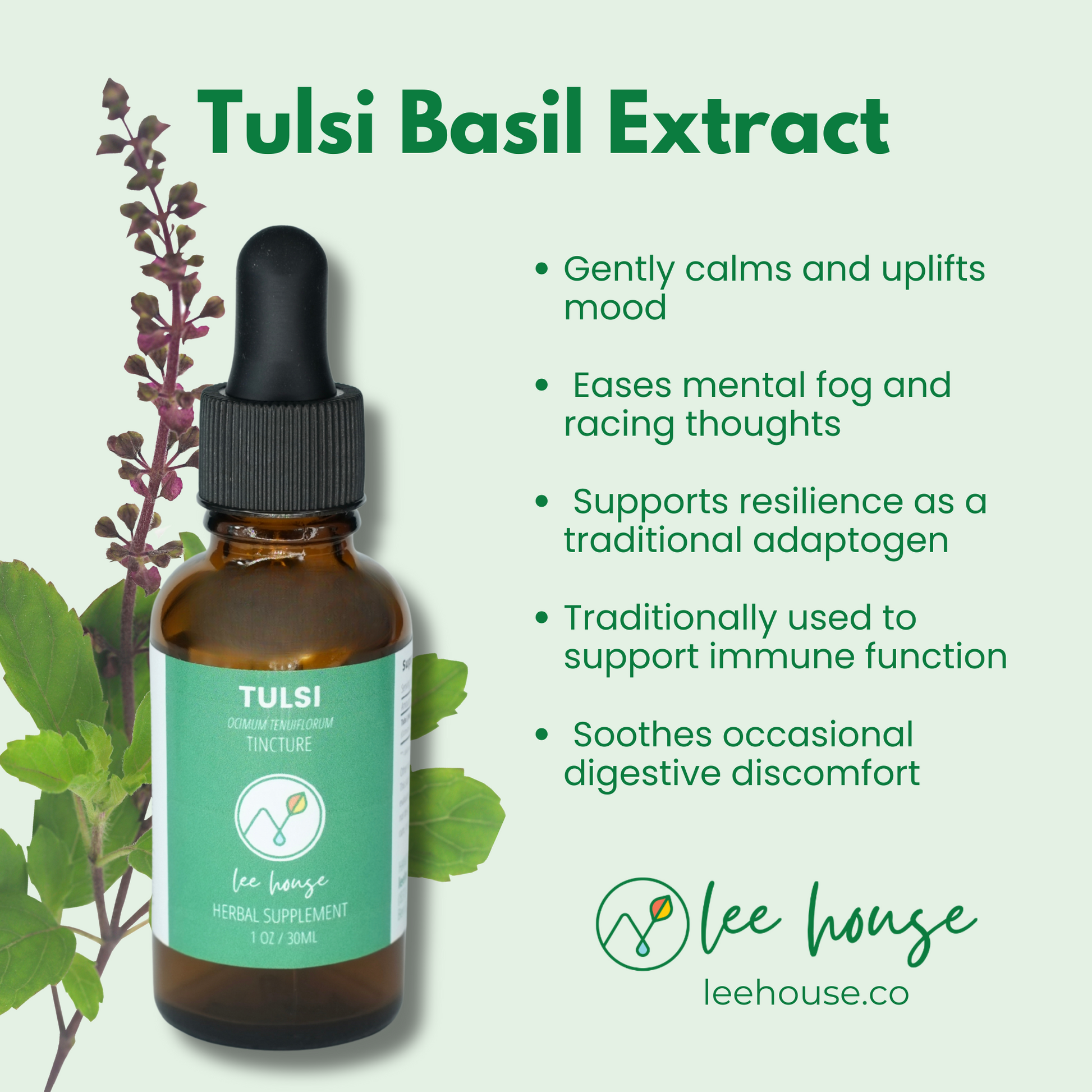 Tulsi Basil Extract bottle with dropper and tulsi leaves on a light green background