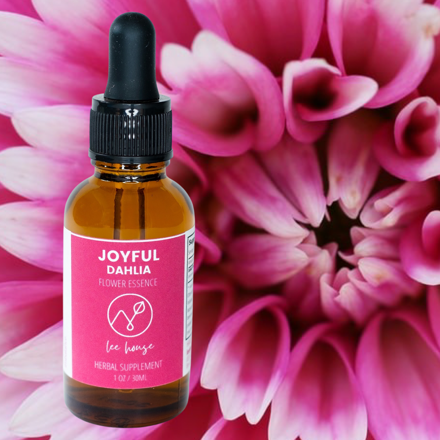 Joyful: Dahlia Flower Essence