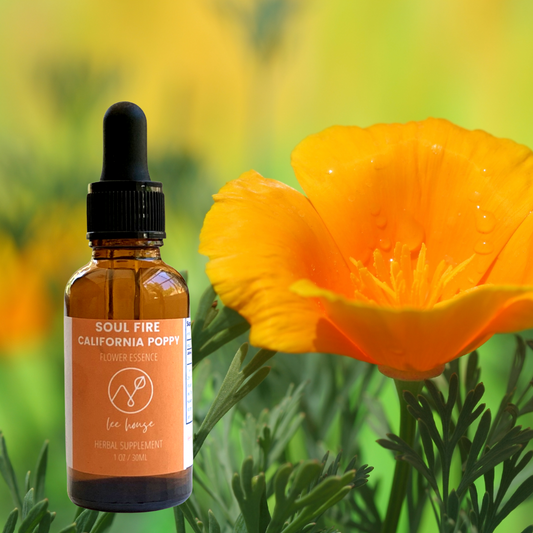 Soul Fire: California Poppy Essence
