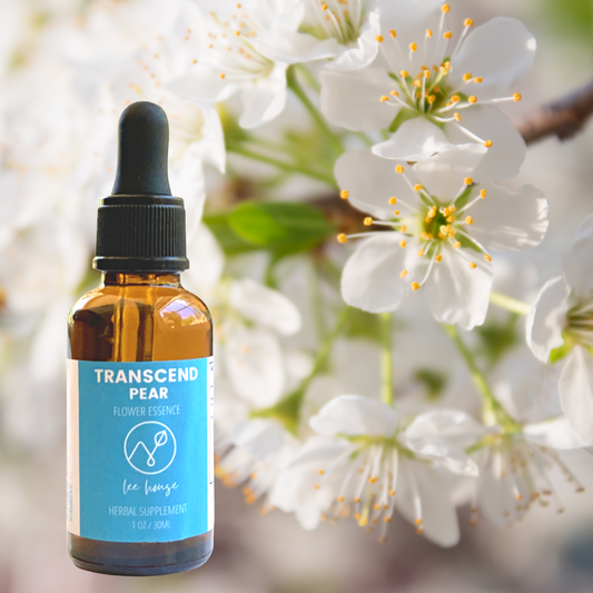 Transcend: Pear Blossom Flower Essence