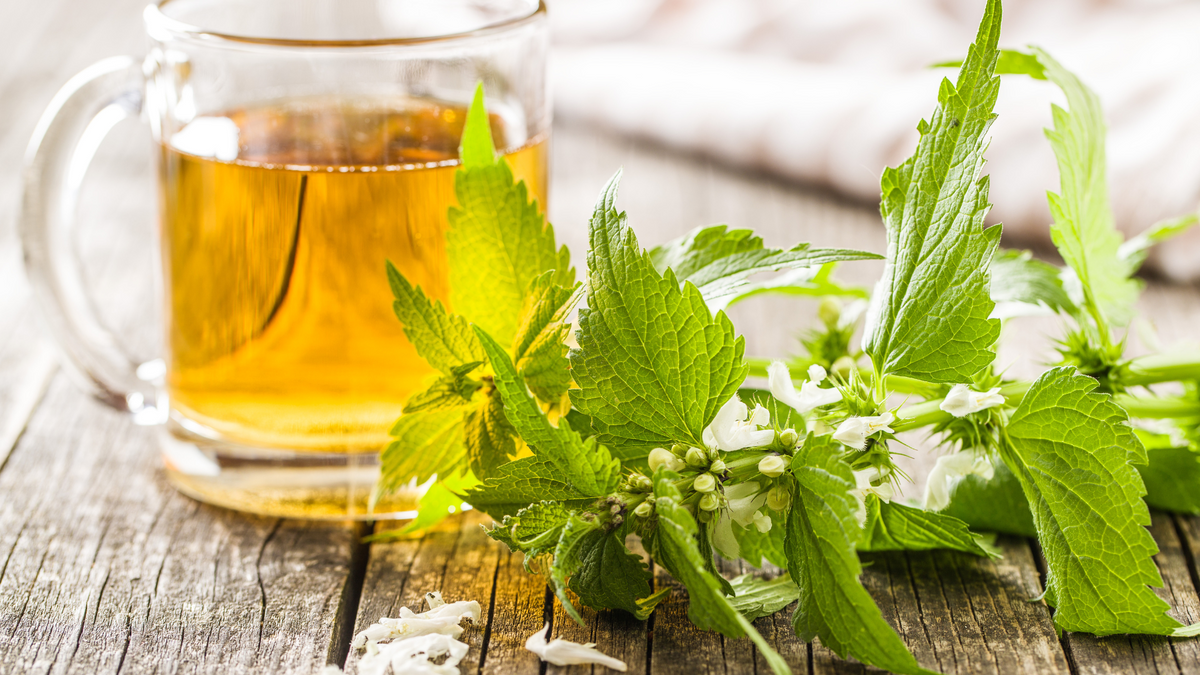 How Our Women's Balance Tea Supports...Balance! – leehouse.co