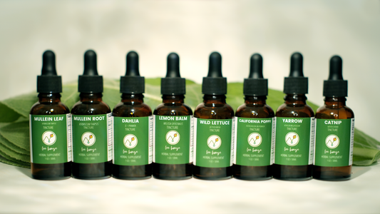 If your herbs "aren't working"....try this.