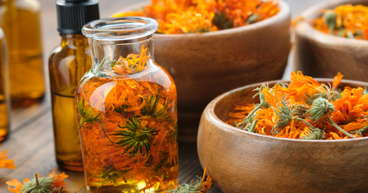 The Slow Infusion: Because Time is Medicine, Too