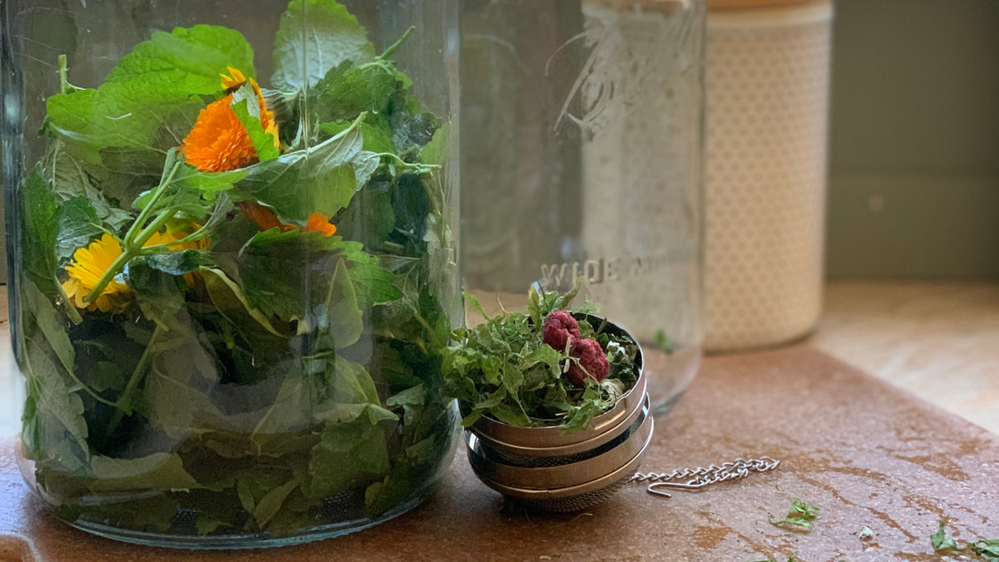 mason jars filled with fresh herbs to make herbal sun tea infusion