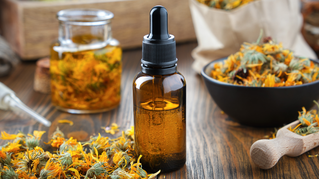 How to Make Herb-Infused Oil (Two Ways)