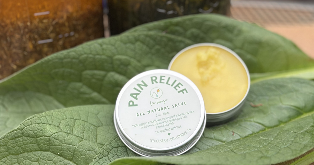 Why Herbal Pain Salve is Better than OTC Remedies