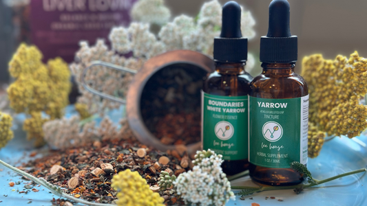 The Medicine of Boundaries: Yarrow