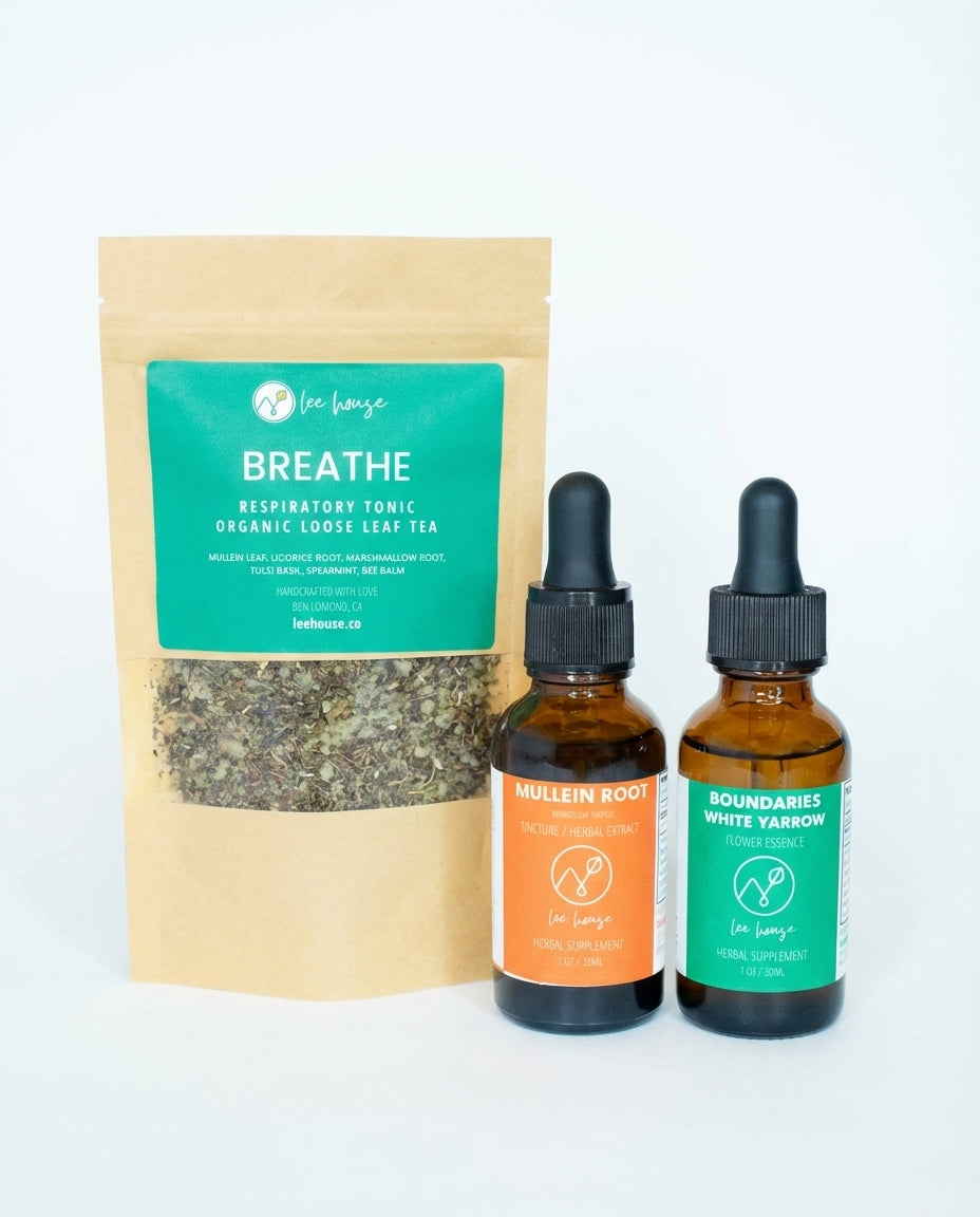 Nervous System Support Set