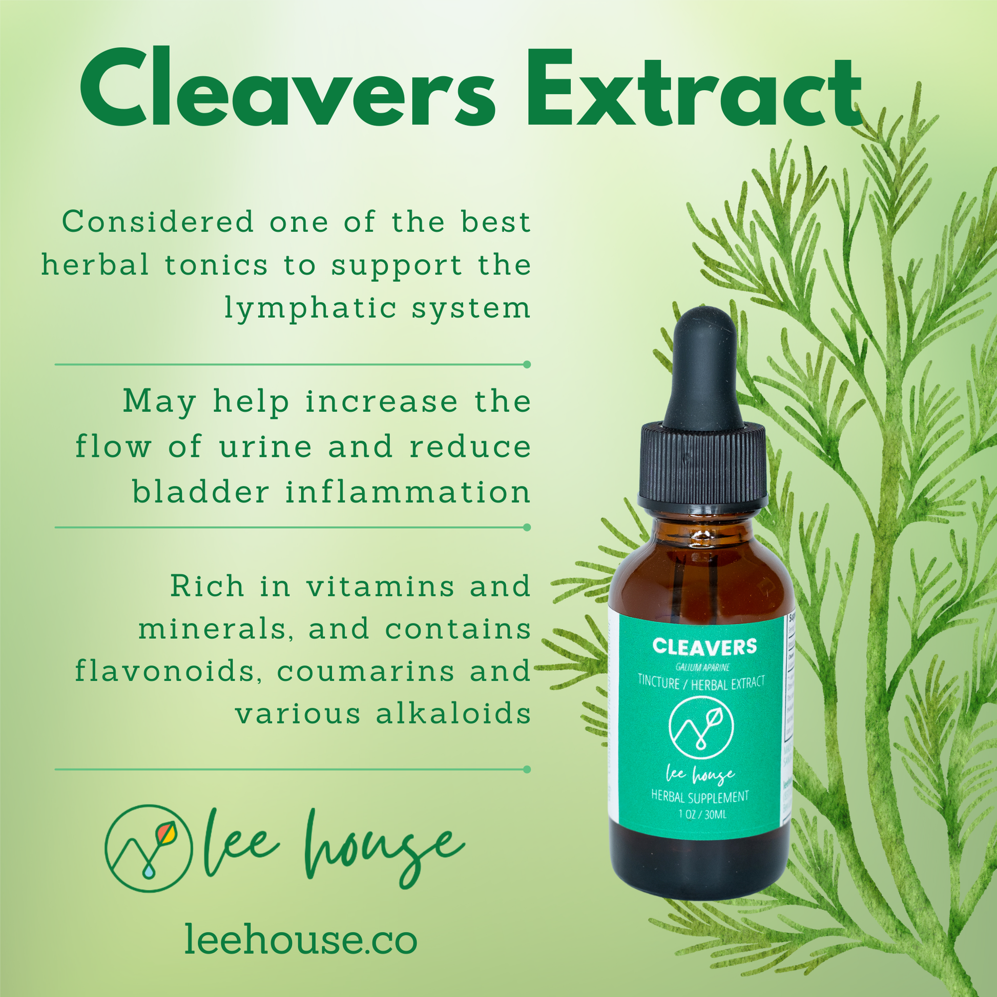 Cleavers Extract benefits listed, including support for the lymphatic system and bladder health. Shows Cleavers Herbal Supplement bottle against a green background with herbal illustrations.