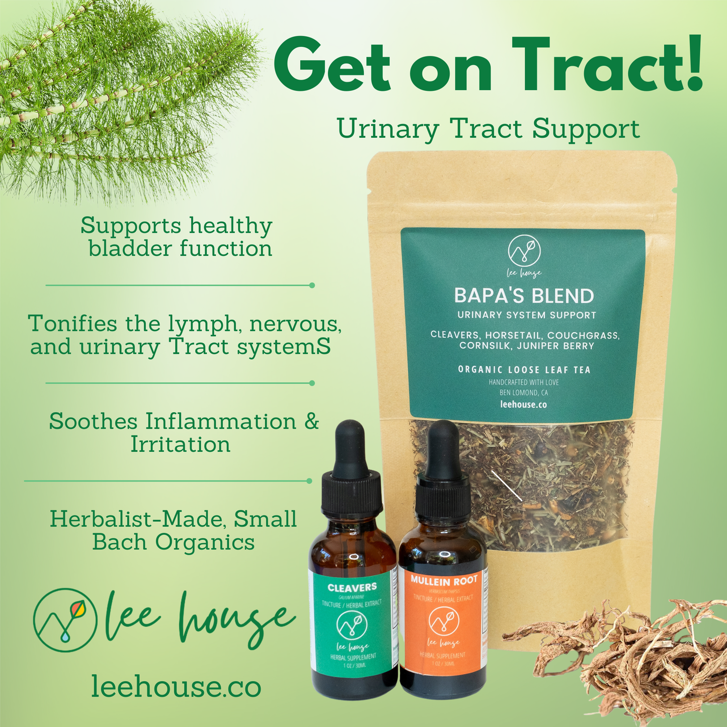 Get on Tract! Urinary Tract Support featuring Bapa's Blend tea with cleavers tincture and mullein root tincture. Benefits listed include bladder function support, soothing properties, and small-batch, herbalist-made quality