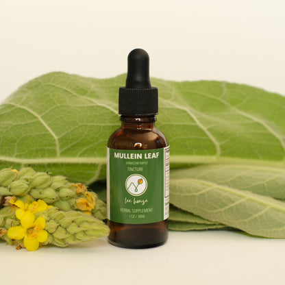 Mullein Leaf Tincture