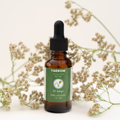 Yarrow Tincture
