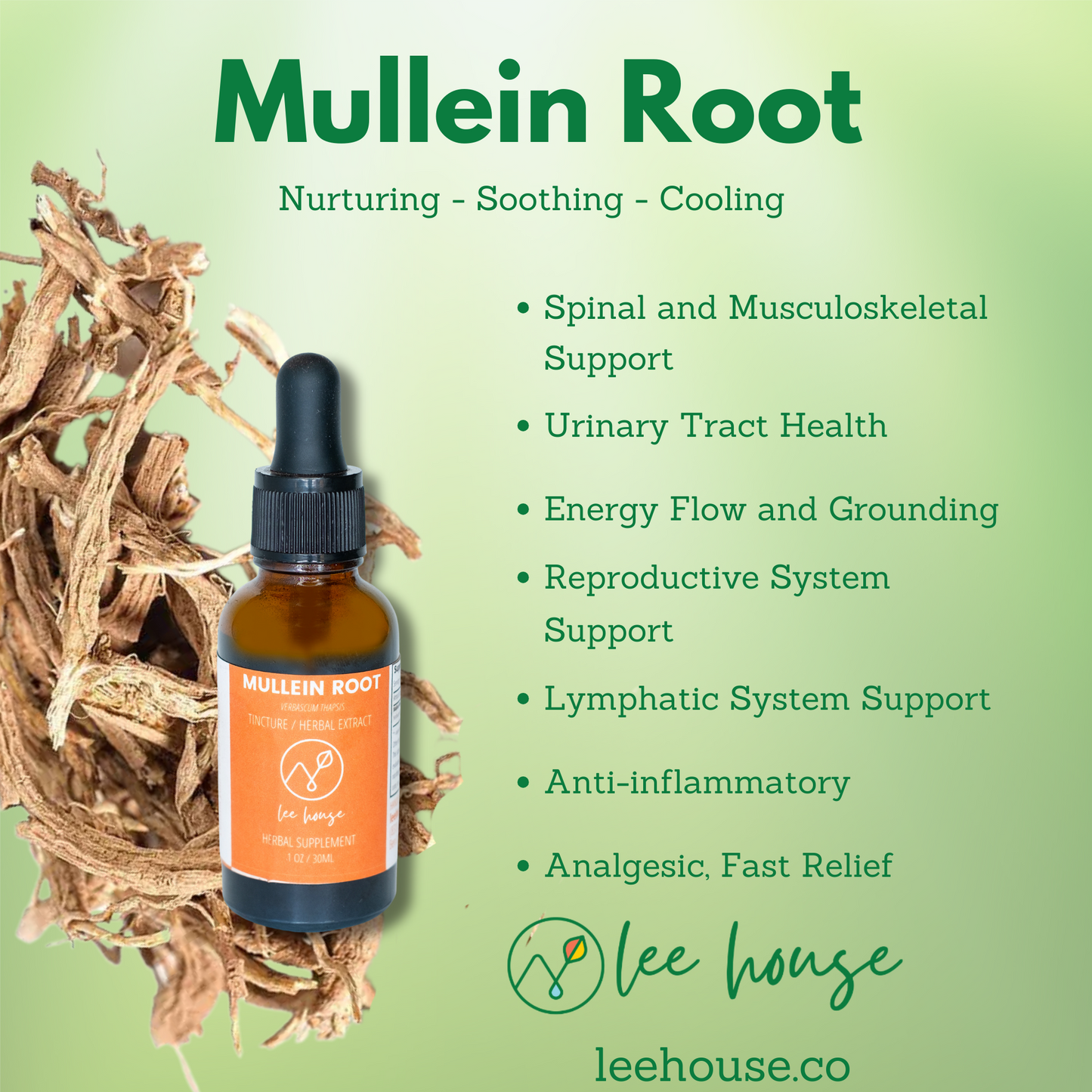 Mullein Root benefits listed, such as spinal support, urinary health, and anti-inflammatory properties. Shows Mullein Root tincture bottle with dried mullein root background.