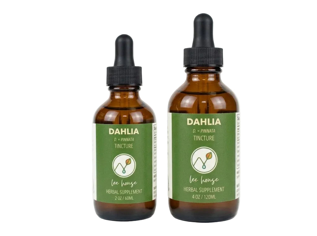 Two amber glass dropper bottles of Lee House Dahlia Tincture herbal supplement, one 2 oz and one 4 oz, with green labels and black droppers on a white background.