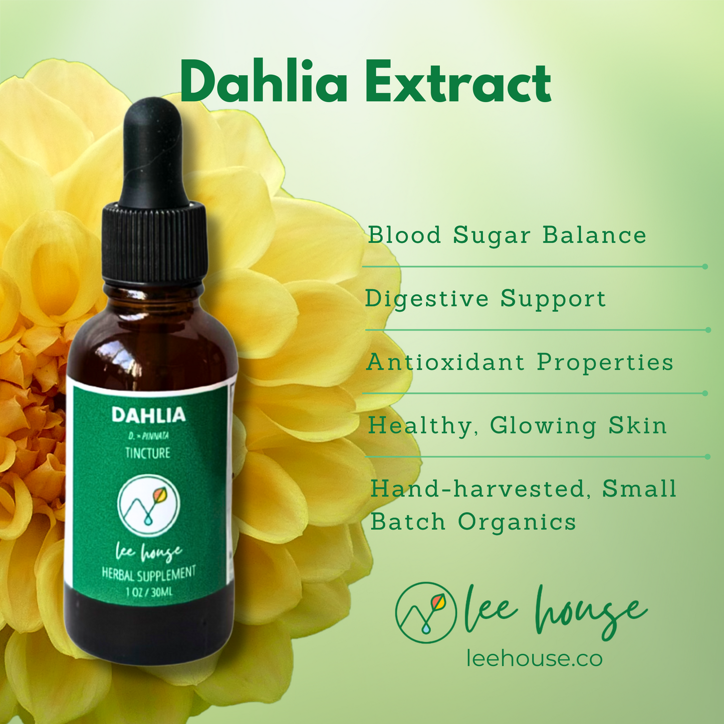 Dahlia Flower Extract