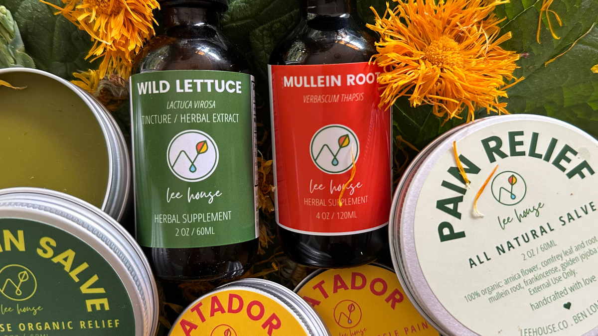 Mullein Root Tincture – leehouse.co