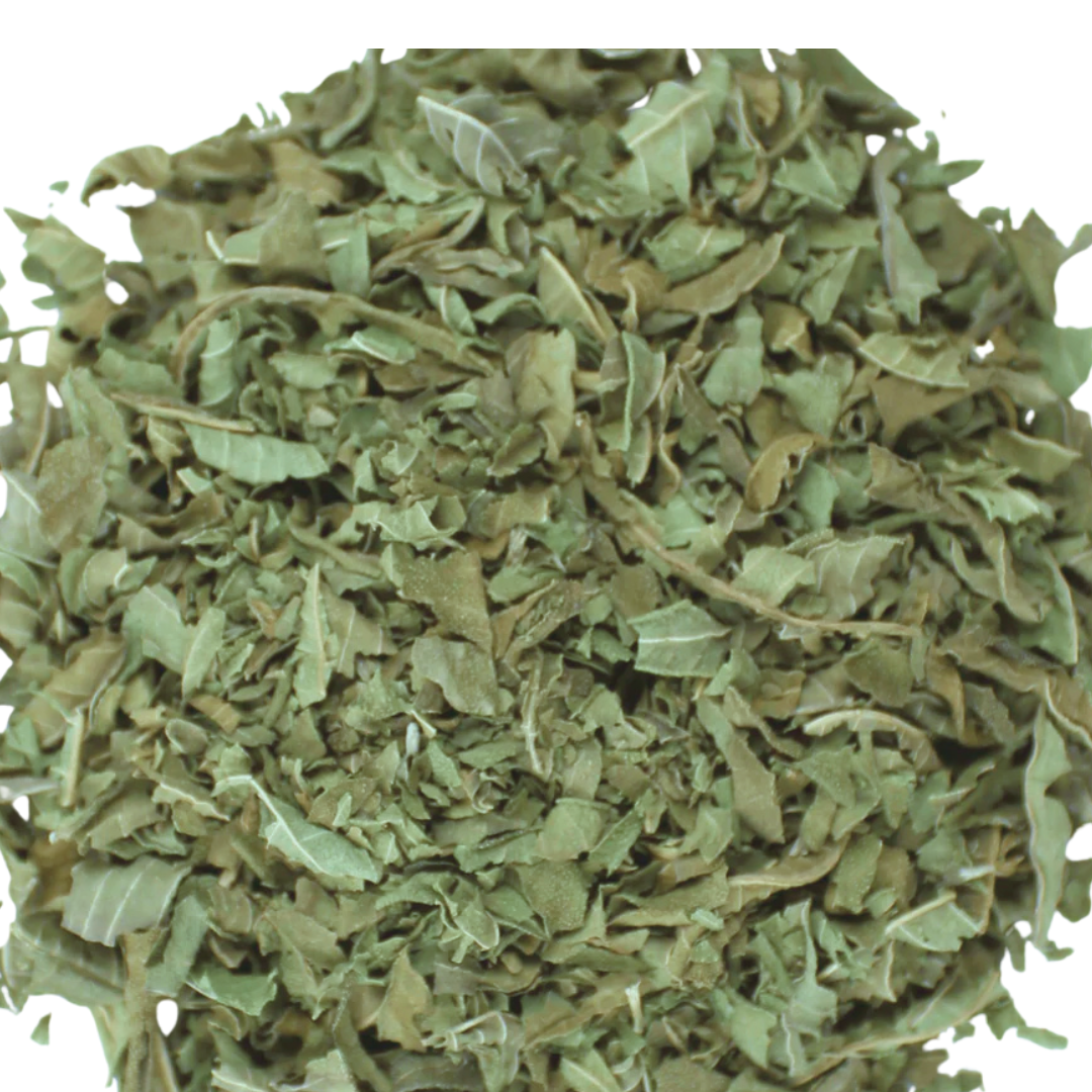 Lemon Verbena (Aloysia citrodora)