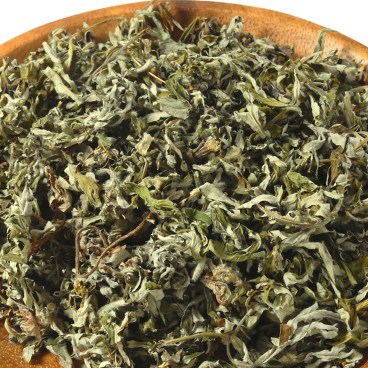 Mugwort (Artemisia vulgaris)