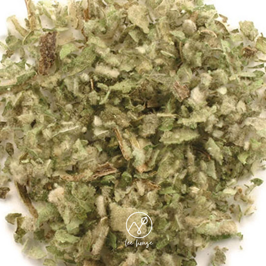 Mullein Leaf