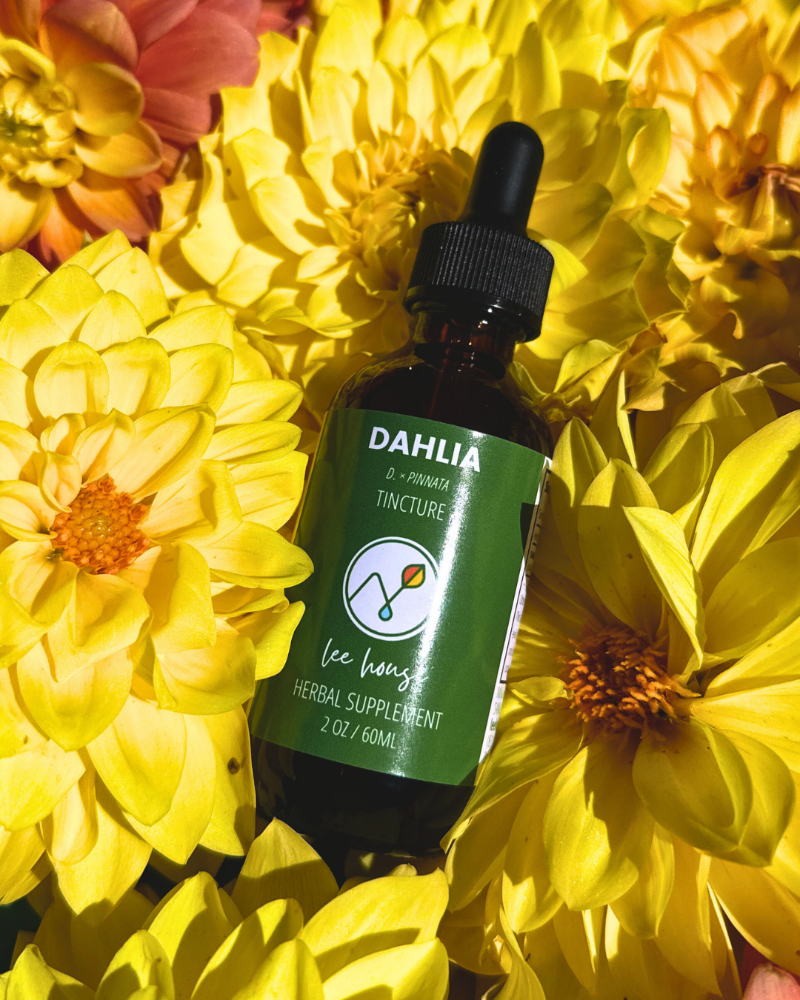 Bottle of Dahlia tincture surrounded by yellow flowers