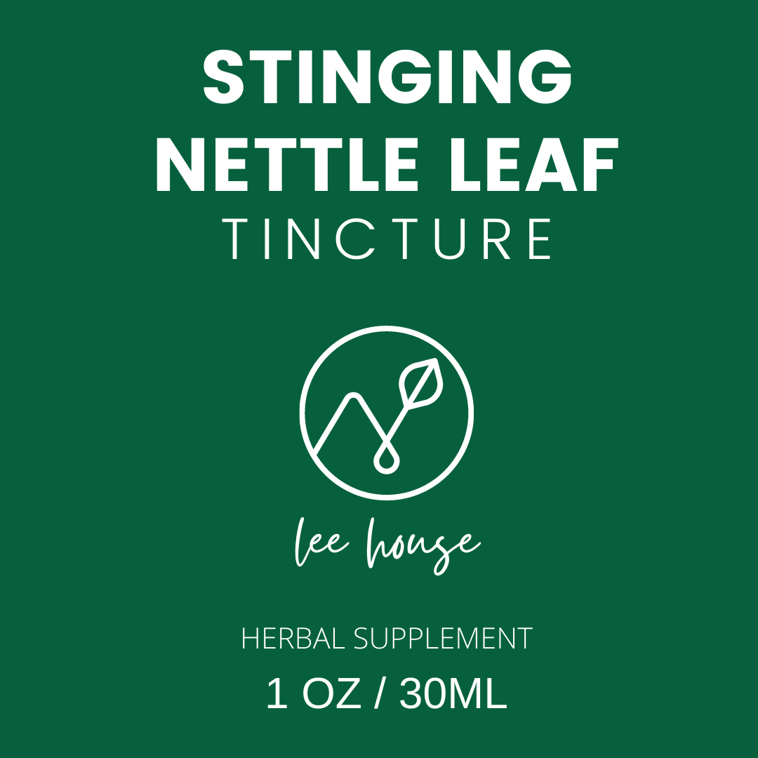 Stinging Nettle Leaf Tincture: Daily Vitality Tonic + Allergy Relief