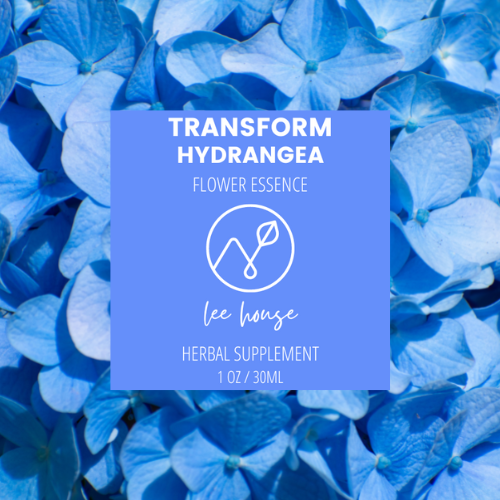 Transform: Hydrangea Flower Essence